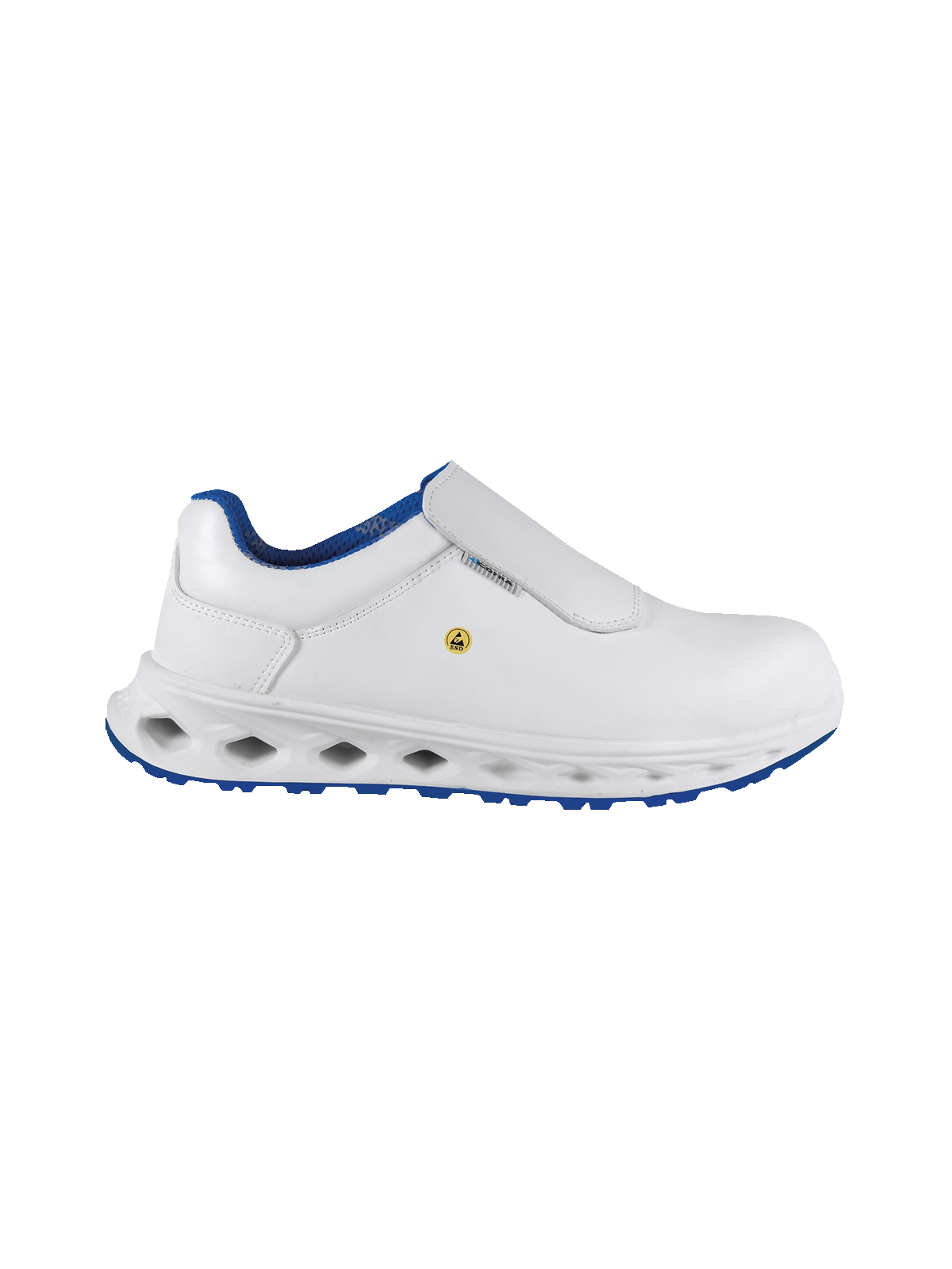 SCARPA HYGIENE